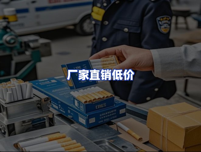 专业团队